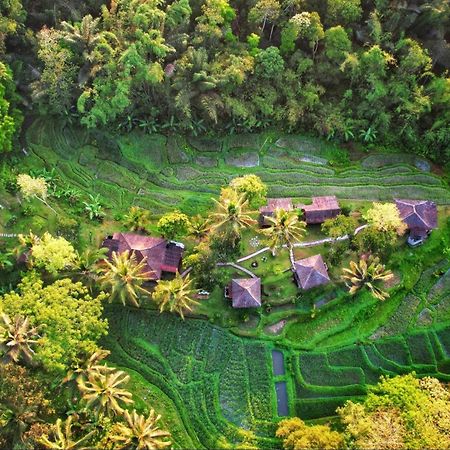 Oemah Tepi Sawah Villa จาตีลูวีห์ ภายนอก รูปภาพ