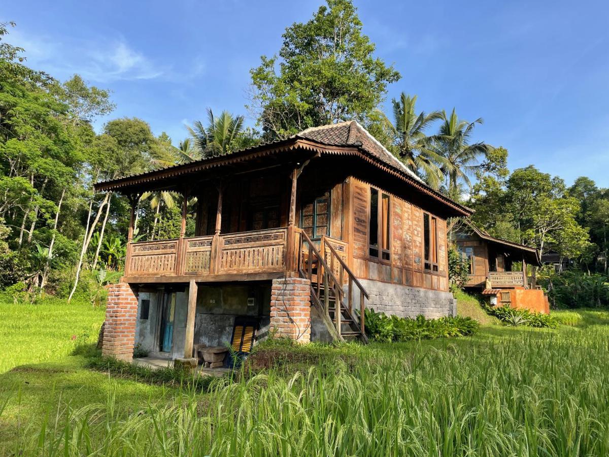 Oemah Tepi Sawah Villa จาตีลูวีห์ ภายนอก รูปภาพ