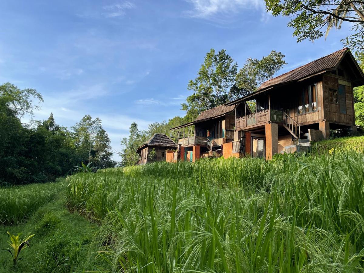 Oemah Tepi Sawah Villa จาตีลูวีห์ ภายนอก รูปภาพ