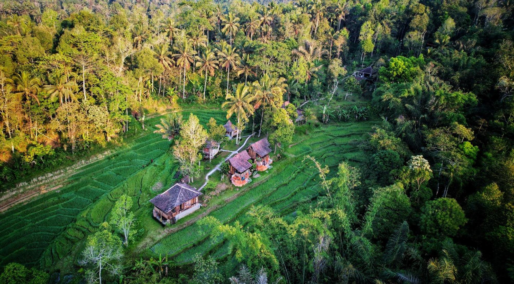 Oemah Tepi Sawah Villa จาตีลูวีห์ ภายนอก รูปภาพ