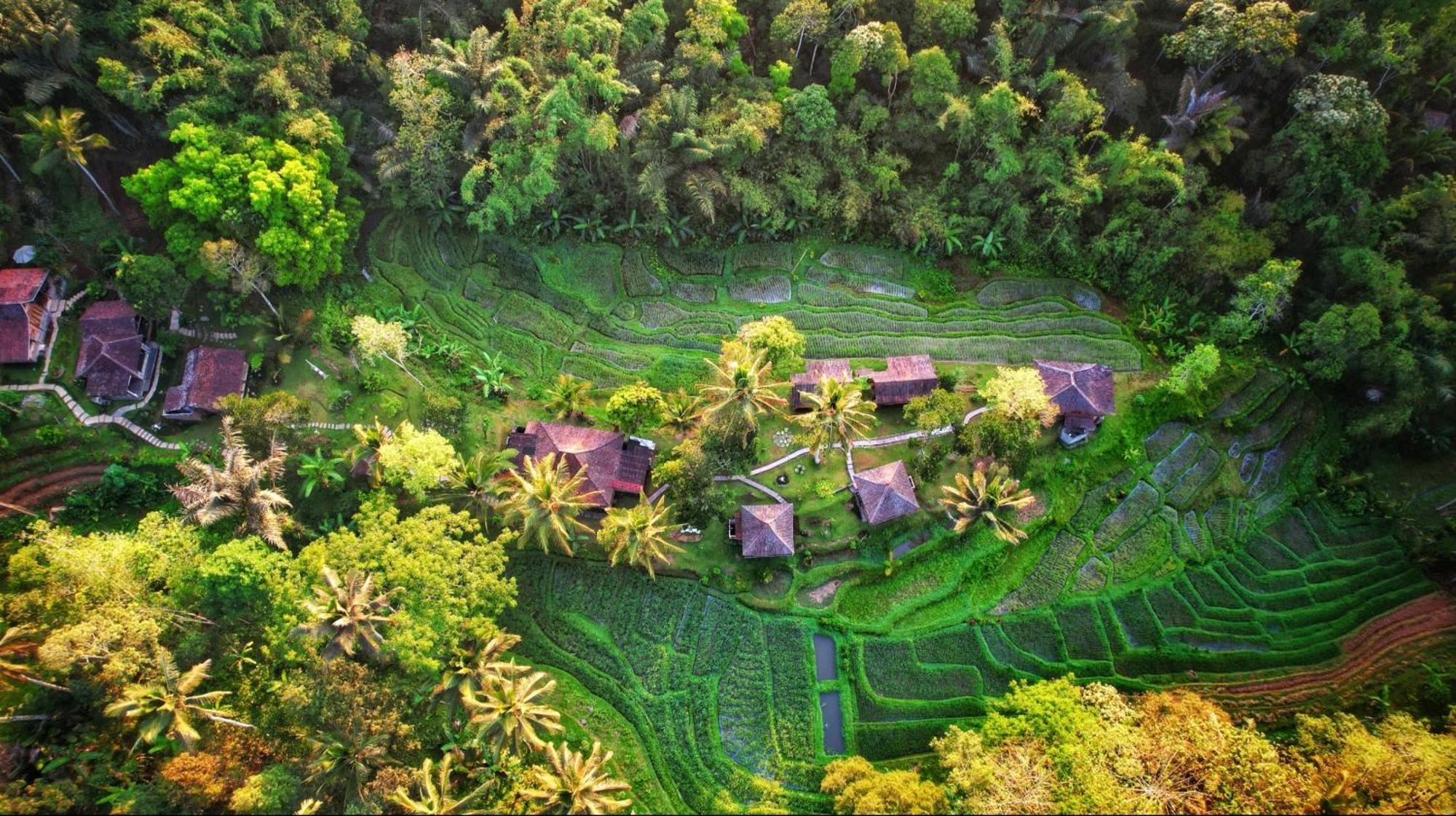 Oemah Tepi Sawah Villa จาตีลูวีห์ ภายนอก รูปภาพ