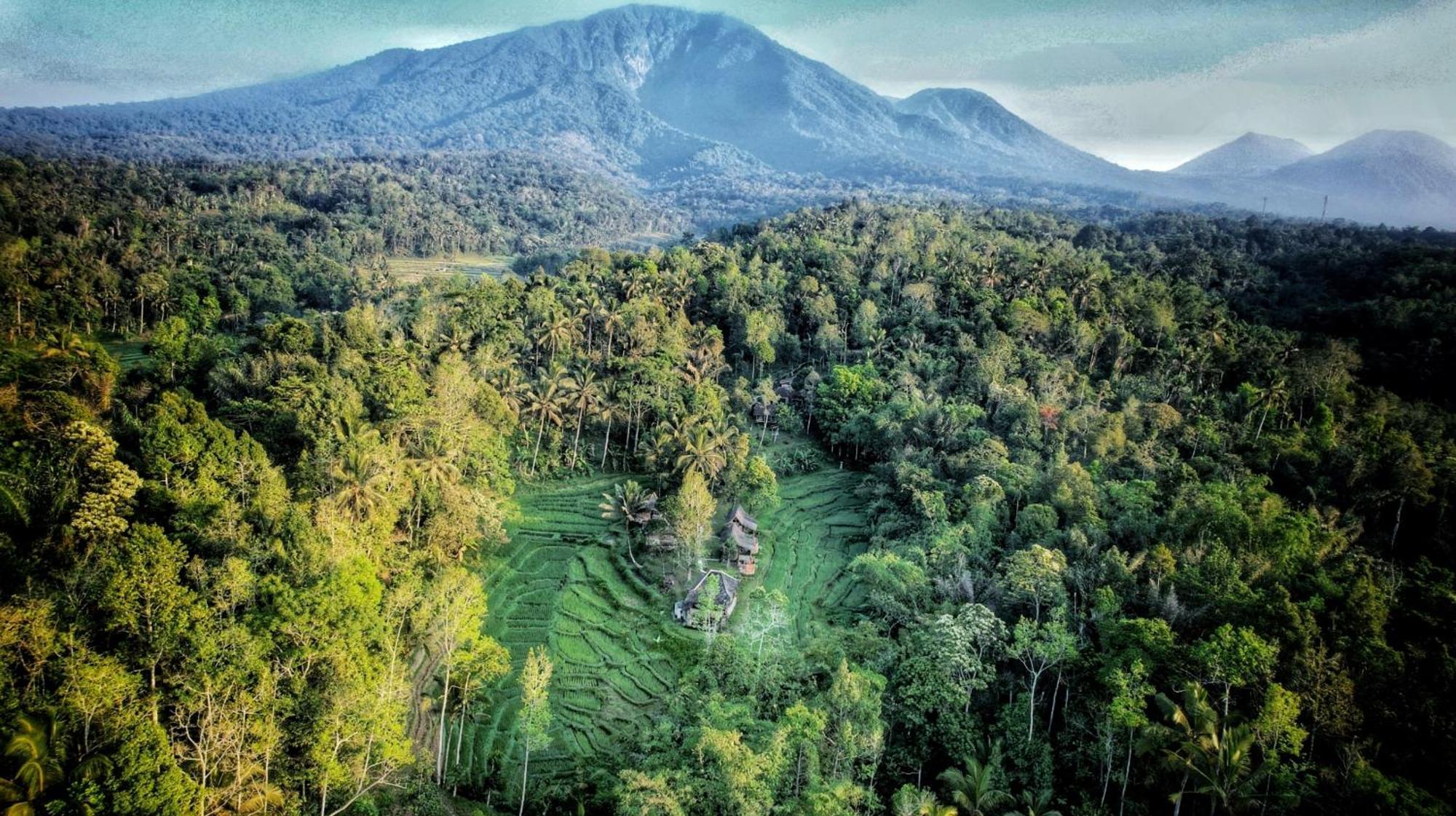 Oemah Tepi Sawah Villa จาตีลูวีห์ ภายนอก รูปภาพ