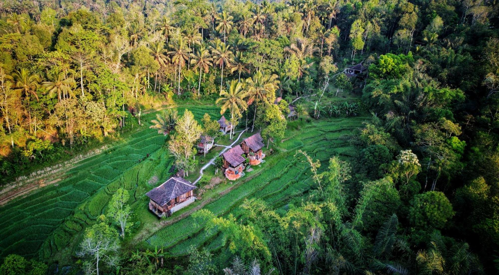 Oemah Tepi Sawah Villa จาตีลูวีห์ ภายนอก รูปภาพ