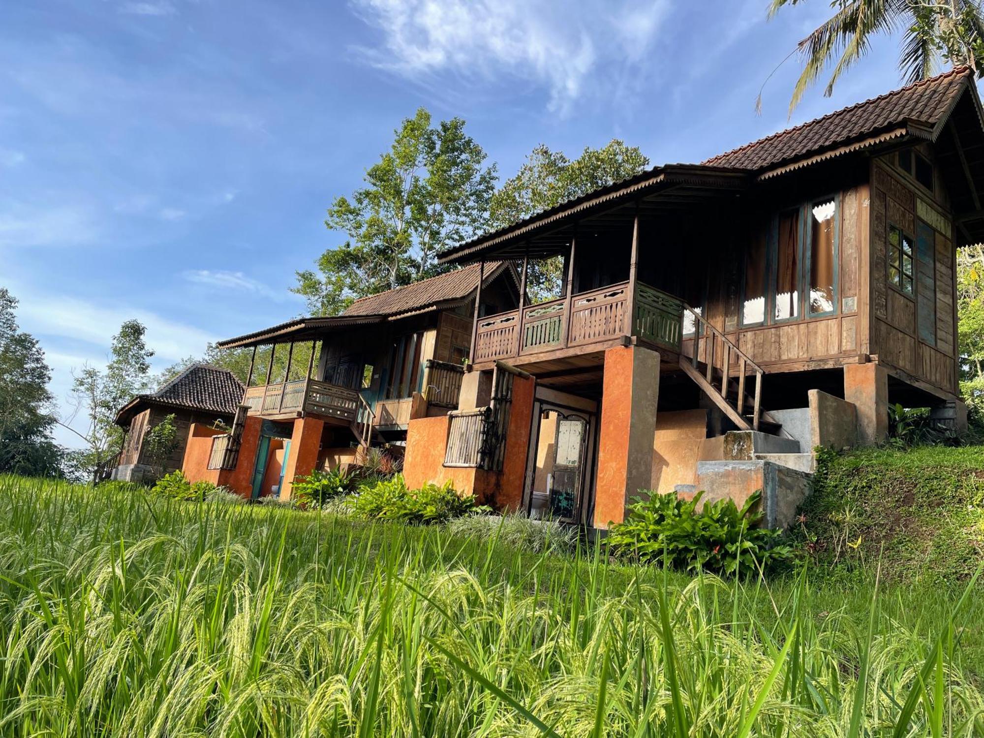 Oemah Tepi Sawah Villa จาตีลูวีห์ ภายนอก รูปภาพ